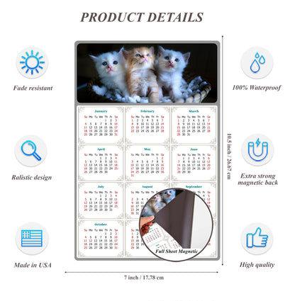 2026 Magnetic Calendar - Today is My Lucky Day (Fade, Tear, and Water Resistant)- Cat Themed 011