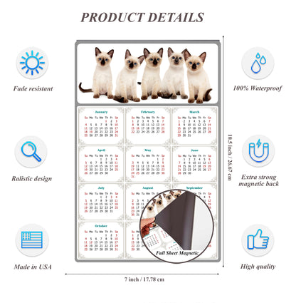 2026 Magnetic Calendar - Today is My Lucky Day (Fade, Tear, and Water Resistant)- Cat Themed 020