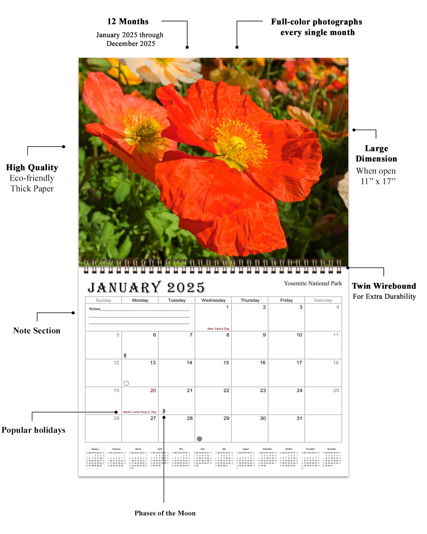 2025 Spiral-bound Wall Calendar (Flowers) - 12 Months Desktop/Wall Calendar/Planner (Copy) (Copy) (Copy)