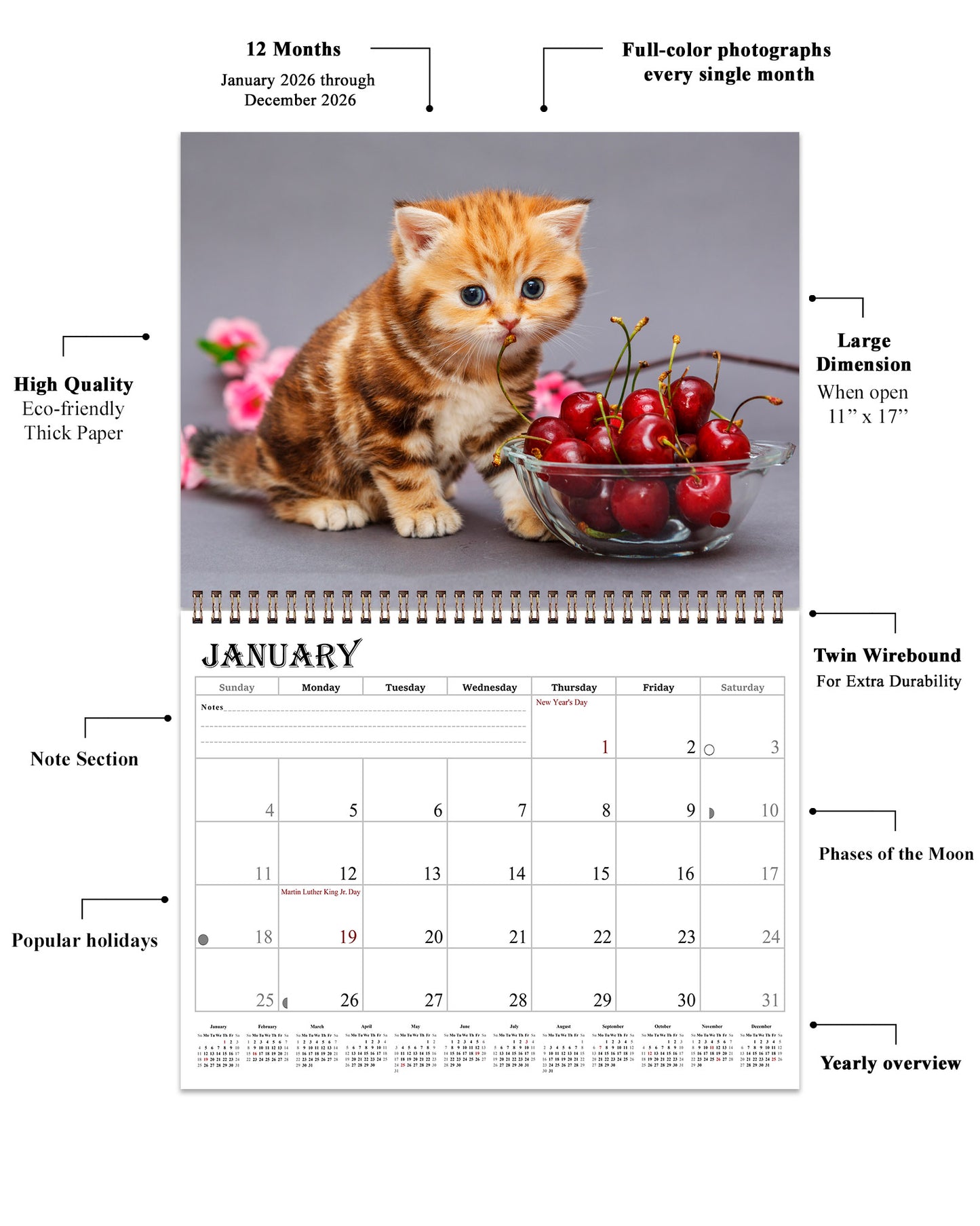 2026 Spiral-bound Wall Calendar (Kittens) - 12 Months Desktop/Wall Calendar/Planner