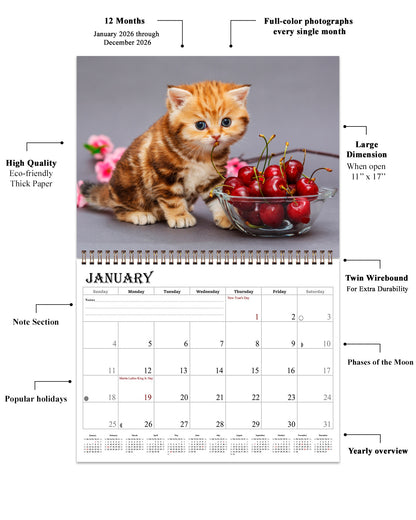 2026 Spiral-bound Wall Calendar (Kittens) - 12 Months Desktop/Wall Calendar/Planner