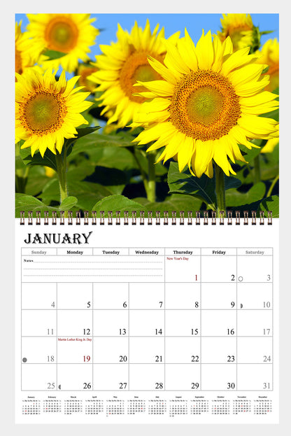 2026 Spiral-bound Wall Calendar (Sunflowers) - 12 Months Desktop/Wall Calendar/Planner