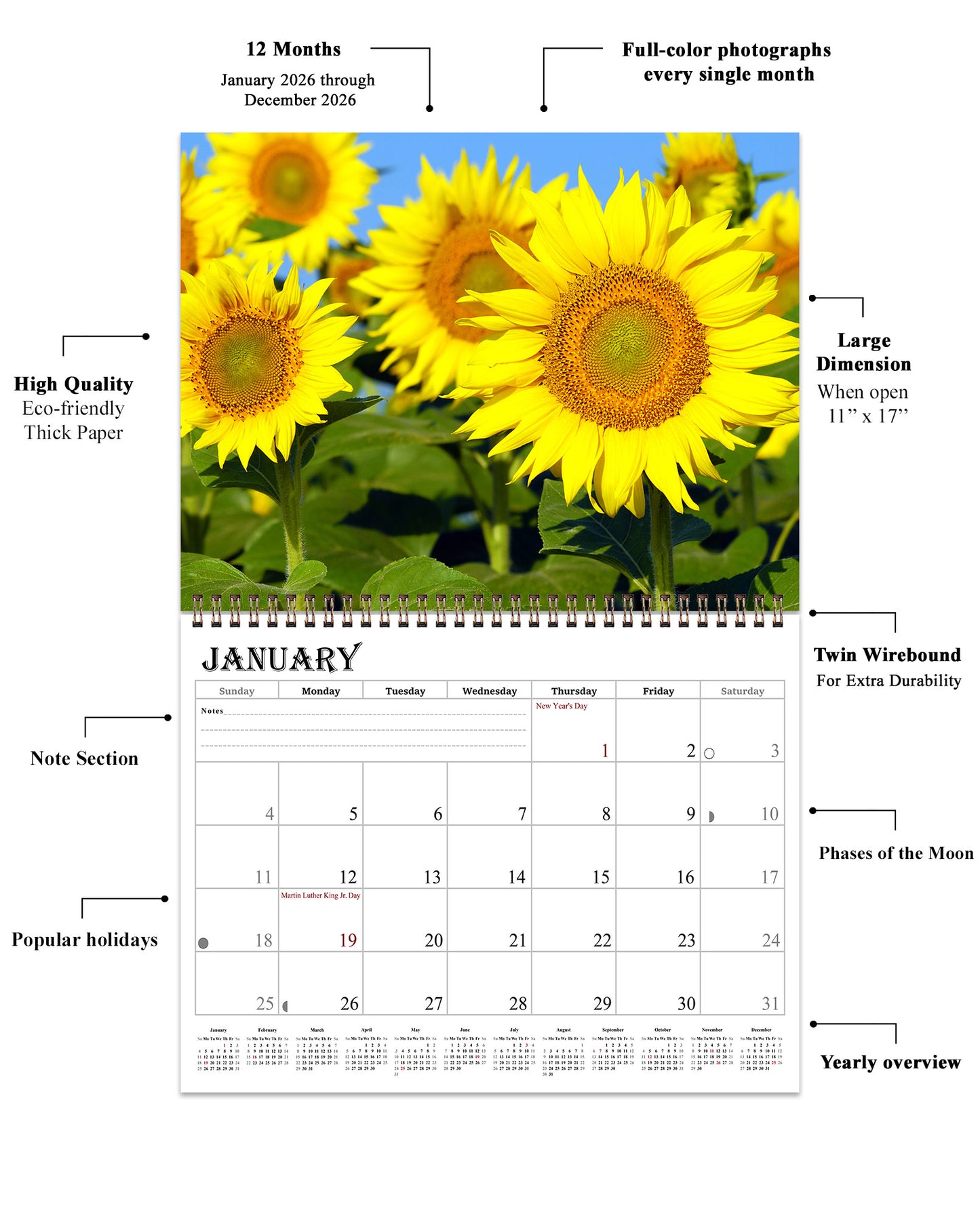 2026 Spiral-bound Wall Calendar (Sunflowers) - 12 Months Desktop/Wall Calendar/Planner
