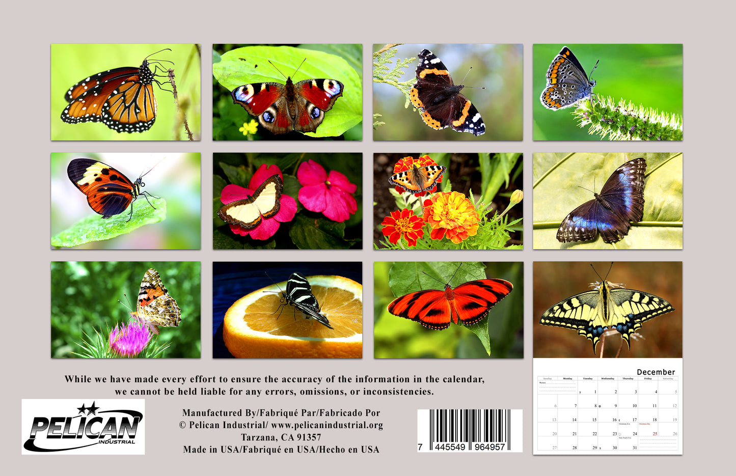 2026 Spiral-bound Wall Calendar (Butterflyes) - 12 Months Desktop/Wall Calendar/Planner