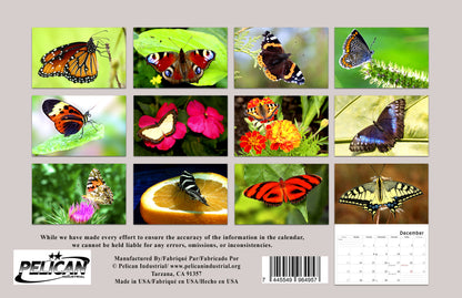 2026 Spiral-bound Wall Calendar (Butterflyes) - 12 Months Desktop/Wall Calendar/Planner