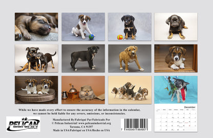 2026 Spiral-bound Wall Calendar (Dogs) - 12 Months Desktop/Wall Calendar/Planner