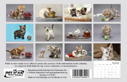 2026 Spiral-bound Wall Calendar (Kittens) - 12 Months Desktop/Wall Calendar/Planner