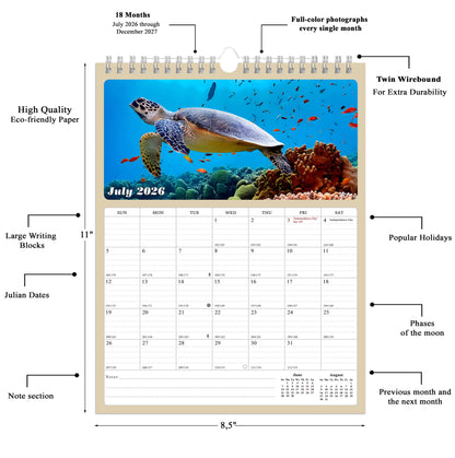 2026 - 2027 Calendar Magnetic Peel & Stick 18 Months 8.5" x 11" Turtles
