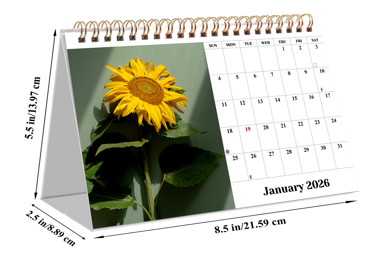 2026-12 Months Desk Calendar Desktop Planner with To-Do List (Sunflowers)