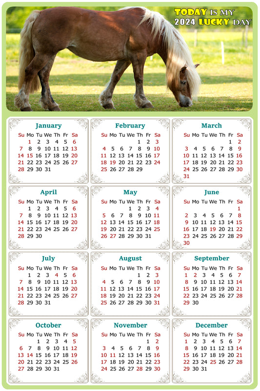 2024 Magnetic Calendar - Calendar Magnets - Today is my Lucky Day - (Fade, Tear, and Water Resistant) - Horses Themed 016