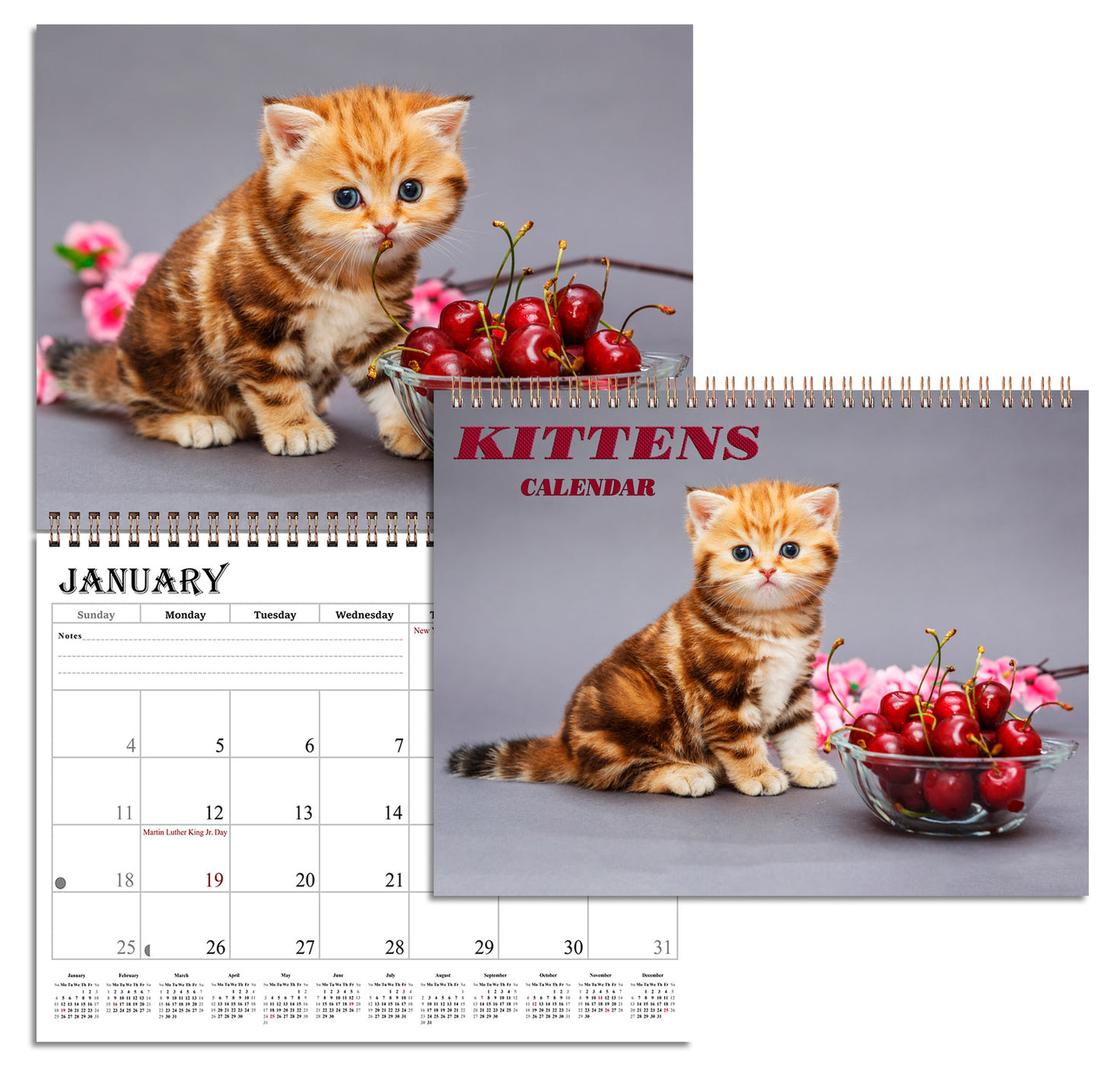 2026 Spiral-bound Wall Calendar (Kittens) - 12 Months Desktop/Wall Calendar/Planner