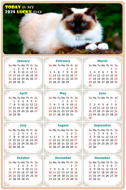 2024 Magnetic Calendar - Today is My Lucky Day (Fade, Tear, and Water Resistant)- Cat Themed 02