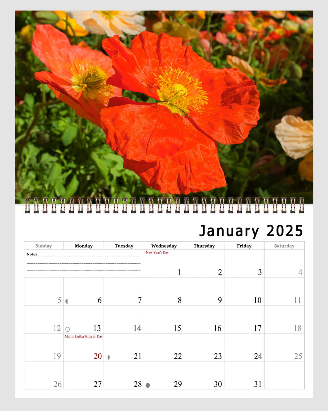 2025 Spiral-bound Wall Calendar (Flowers) - 12 Months Desktop/Wall Calendar/Planner (Copy) (Copy) (Copy)