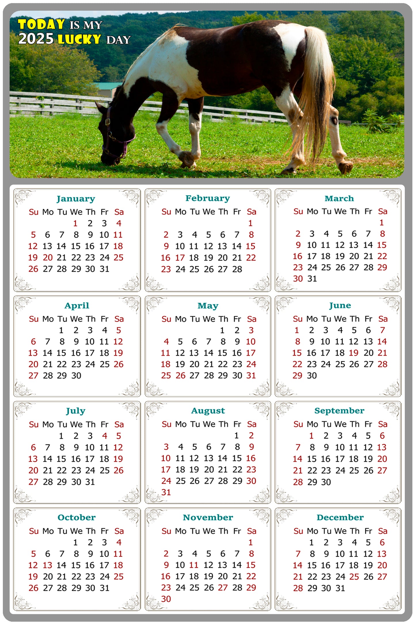 2025 Magnetic Calendar - Calendar Magnets - Today is my Lucky Day - (Fade, Tear, and Water Resistant) - Horses Themed 020