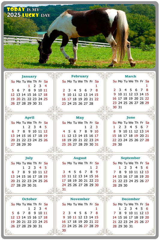 2025 Magnetic Calendar - Calendar Magnets - Today is my Lucky Day - (Fade, Tear, and Water Resistant) - Horses Themed 020
