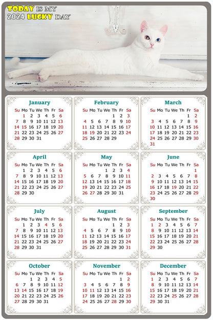 2024 Magnetic Calendar - Today is My Lucky Day (Fade, Tear, and Water Resistant)- Cat Themed 06