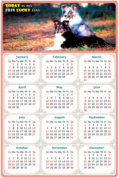 2024 Magnetic Calendar - Today is My Lucky Day (Fade, Tear, and Water Resistant)- Dogs Themed 09