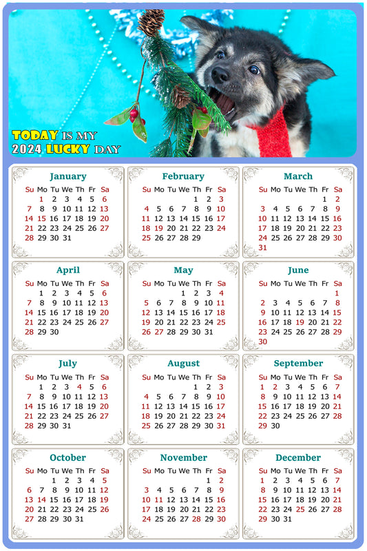 2024 Magnetic Calendar - Today is My Lucky Day (Fade, Tear, and Water Resistant)- Dogs Themed 020