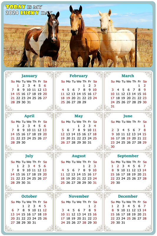 2024 Magnetic Calendar - Calendar Magnets - Today is my Lucky Day - (Fade, Tear, and Water Resistant) - Horses Themed 07