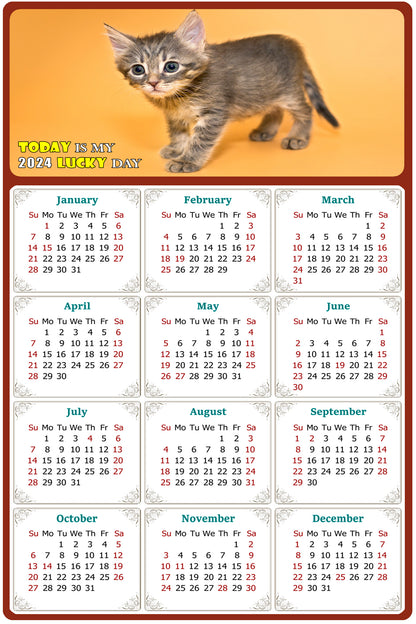 2024 Magnetic Calendar - Today is My Lucky Day (Fade, Tear, and Water Resistant)- Cat Themed 018