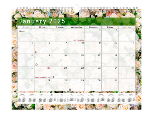2024-2025 Monthly Spiral-Bound Wall / Desk Calendar - Desktop / Wall Blotter Calendar / Planner - (Edition #23)