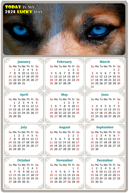 2024 Magnetic Calendar - Today is My Lucky Day (Fade, Tear, and Water Resistant)- Dogs Themed 03
