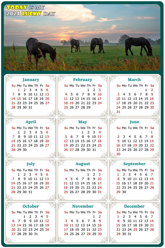 2024 Magnetic Calendar - Calendar Magnets - Today is my Lucky Day - (Fade, Tear, and Water Resistant) - Horses Themed 04