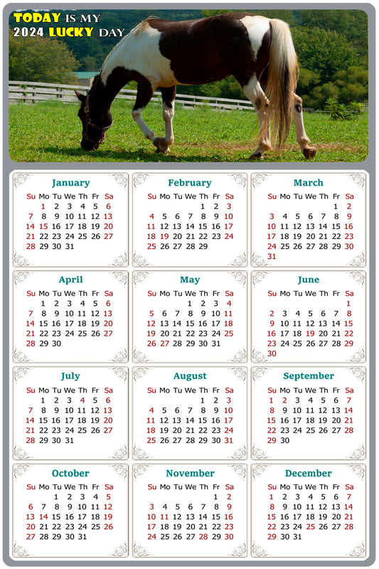 2024 Magnetic Calendar - Calendar Magnets - Today is my Lucky Day - (Fade, Tear, and Water Resistant) - Horses Themed 020