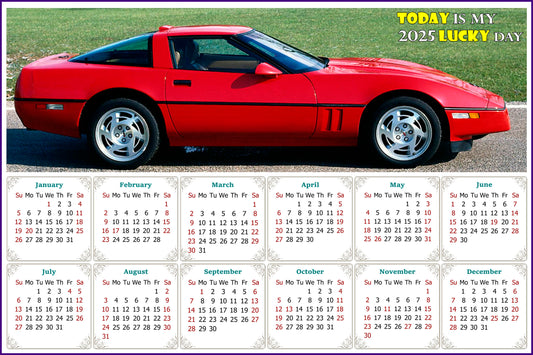 2025 Peel & Stick Calendar - Today is my Lucky Day - Removable, Repositionable - 046 (9"x 6")