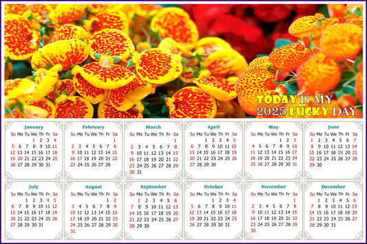 2025 Peel & Stick Calendar - Today is my Lucky Day - Removable, Repositionable - 013 (9"x 6")