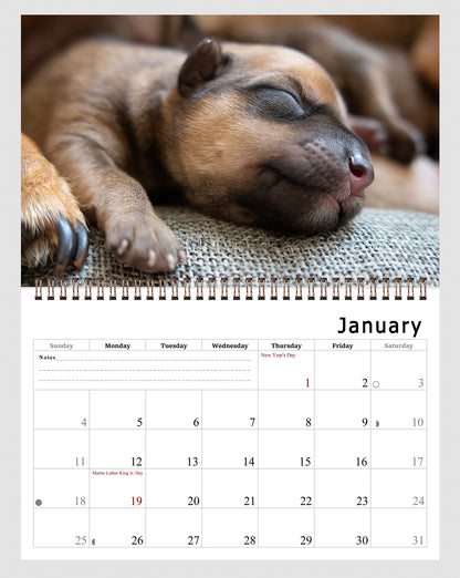 2026 Spiral-bound Wall Calendar (Dogs) - 12 Months Desktop/Wall Calendar/Planner