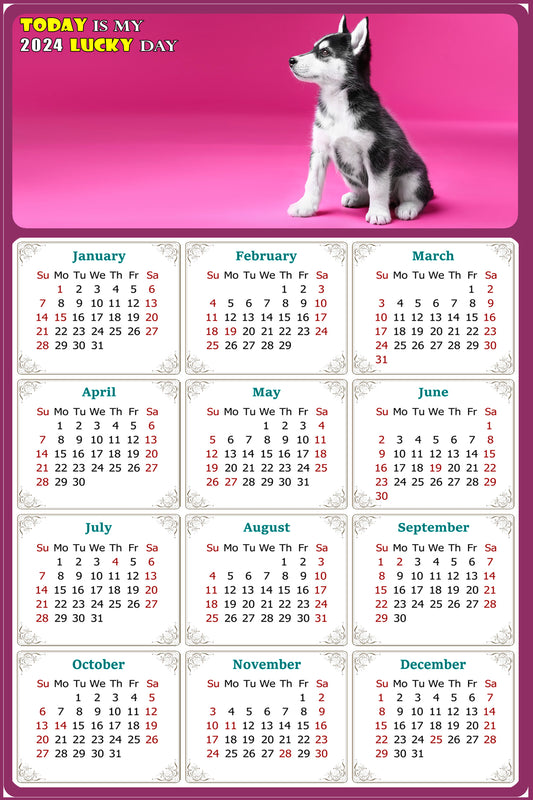 2024 Magnetic Calendar - Today is My Lucky Day (Fade, Tear, and Water Resistant)- Dogs Themed 023