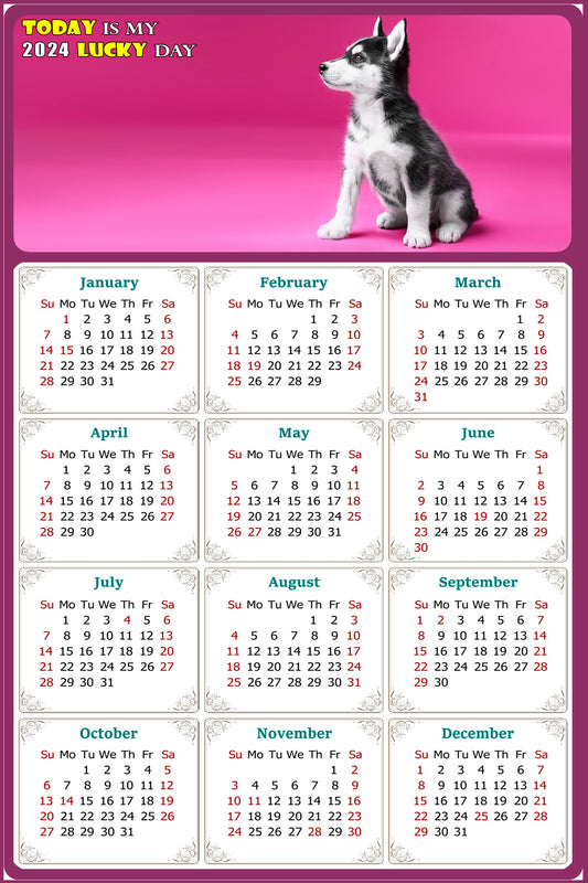 2024 Magnetic Calendar - Today is My Lucky Day (Fade, Tear, and Water Resistant)- Dogs Themed 023