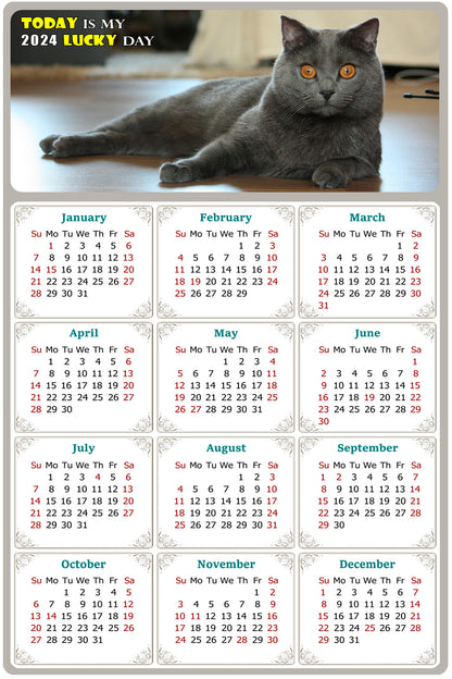 2024 Magnetic Calendar - Today is My Lucky Day (Fade, Tear, and Water Resistant)- Cat Themed 014