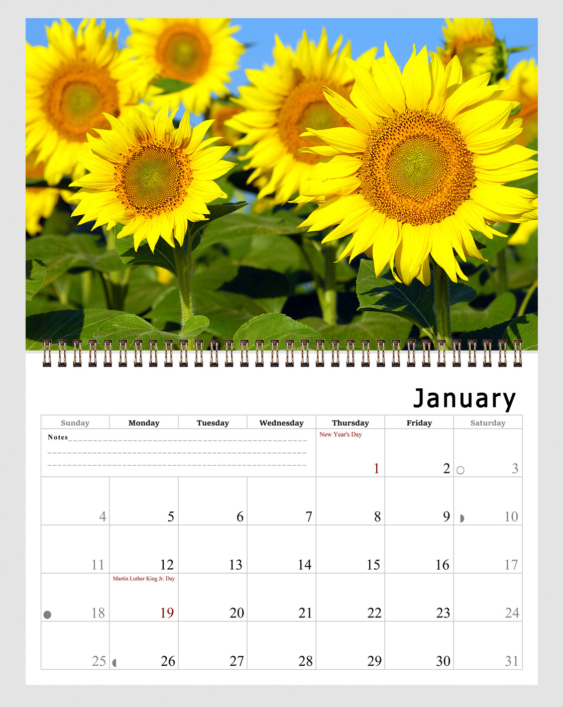 2027 Spiral-bound Wall Calendar (Sunflowers) - 12 Months Desktop/Wall Calendar/Planner