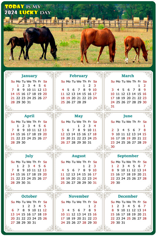 2024 Magnetic Calendar - Calendar Magnets - Today is my Lucky Day - (Fade, Tear, and Water Resistant) - Horses Themed 010