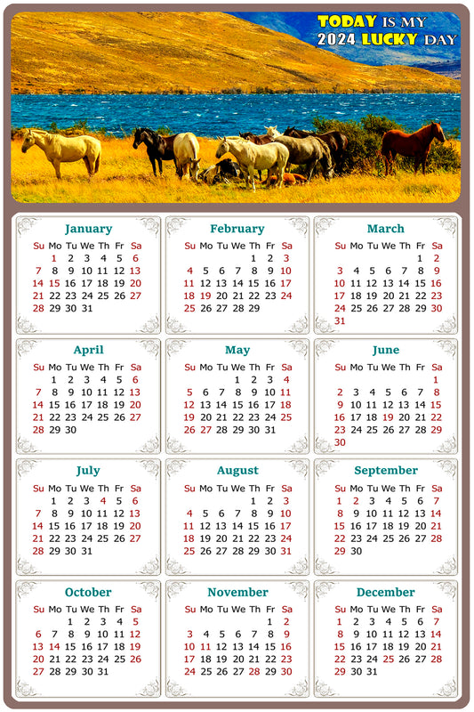 2024 Magnetic Calendar - Calendar Magnets - Today is my Lucky Day - (Fade, Tear, and Water Resistant) - Horses Themed 012