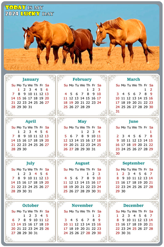 2024 Magnetic Calendar - Calendar Magnets - Today is my Lucky Day - (Fade, Tear, and Water Resistant) - Horses Themed 017