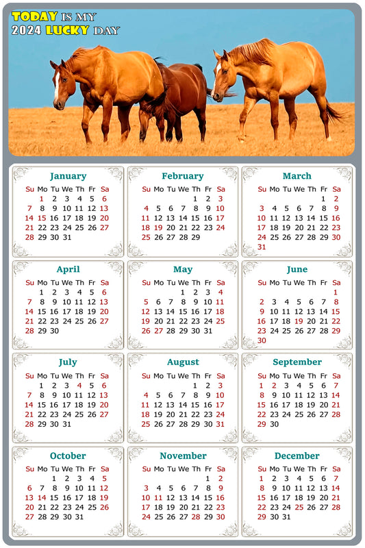 2024 Magnetic Calendar - Calendar Magnets - Today is my Lucky Day - (Fade, Tear, and Water Resistant) - Horses Themed 017