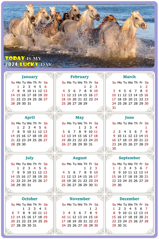 2024 Magnetic Calendar - Calendar Magnets - Today is my Lucky Day - (Fade, Tear, and Water Resistant) - Horses Themed 08