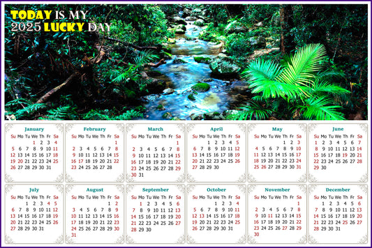 2025 Magnetic Calendar - Calendar Magnets - Today is My Lucky Day (Daintree National Park)
