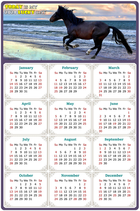 2024 Magnetic Calendar - Calendar Magnets - Today is my Lucky Day - (Fade, Tear, and Water Resistant) - Horses Themed 015