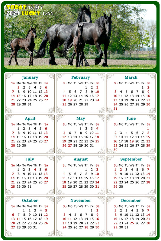 2024 Magnetic Calendar - Calendar Magnets - Today is my Lucky Day - (Fade, Tear, and Water Resistant) - Horses Themed 05