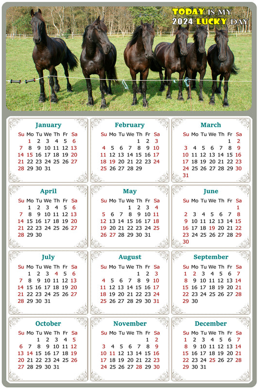 2024 Magnetic Calendar - Calendar Magnets - Today is my Lucky Day - (Fade, Tear, and Water Resistant) - Horses Themed 06