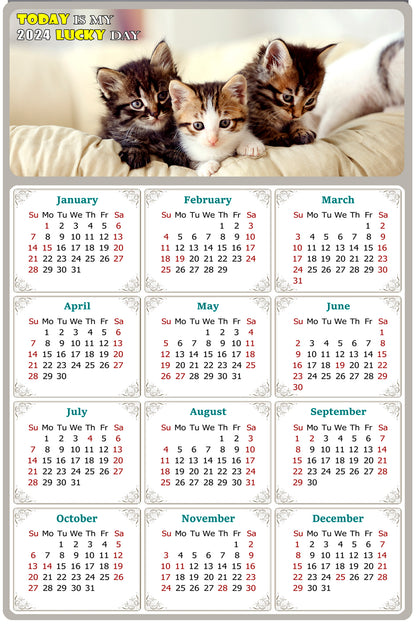 2024 Magnetic Calendar - Today is My Lucky Day (Fade, Tear, and Water Resistant)- Cat Themed 021