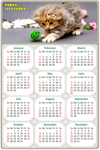 2024 Magnetic Calendar - Today is My Lucky Day (Fade, Tear, and Water Resistant)- Cat Themed 017
