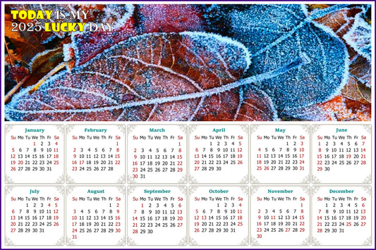 2025 Peel & Stick Calendar - Today is my Lucky Day - Removable, Repositionable - 036 (9"x 6")