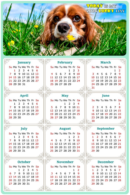2024 Magnetic Calendar - Today is My Lucky Day (Fade, Tear, and Water Resistant)- Dogs Themed 06