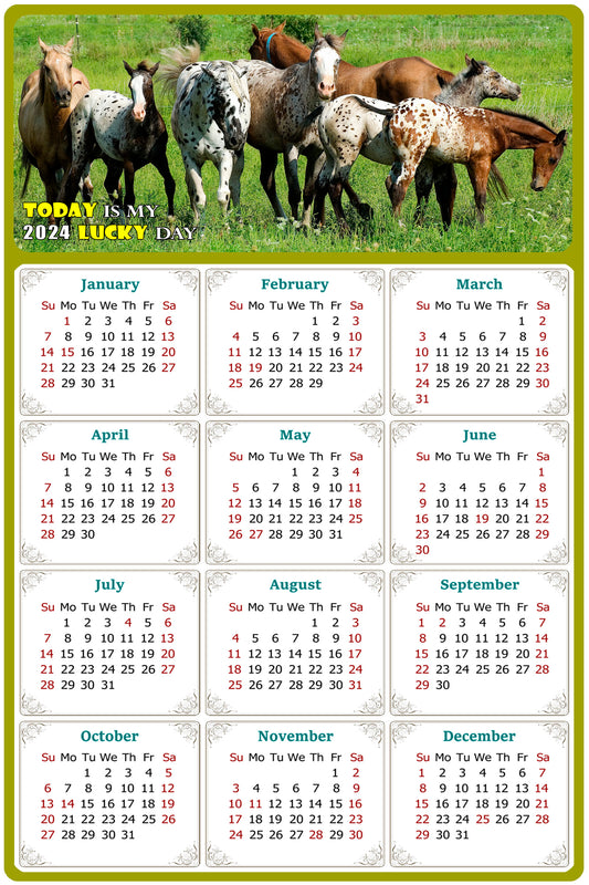 2024 Magnetic Calendar - Calendar Magnets - Today is my Lucky Day - (Fade, Tear, and Water Resistant) - Horses Themed 02