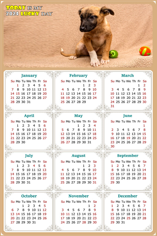 2024 Magnetic Calendar - Today is My Lucky Day (Fade, Tear, and Water Resistant)- Dogs Themed 021